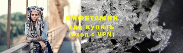 индика Ладушкин