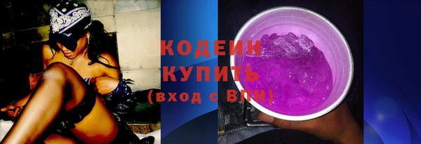 индика Ладушкин