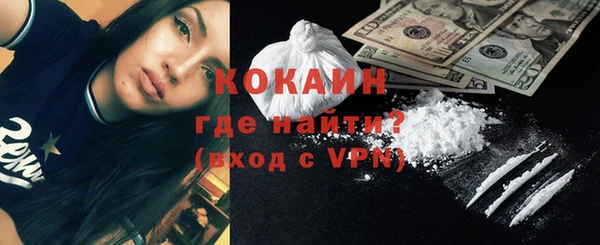 индика Ладушкин