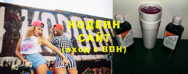индика Ладушкин