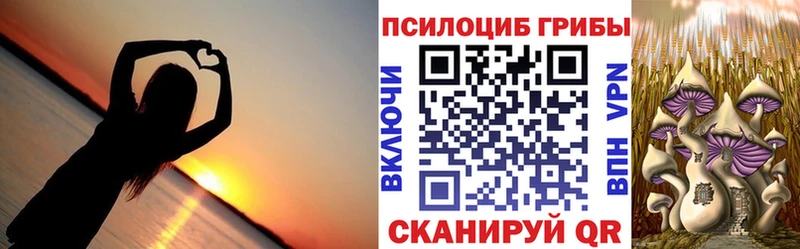 как найти закладки  Краснодар  Галлюциногенные грибы Psilocybine cubensis 