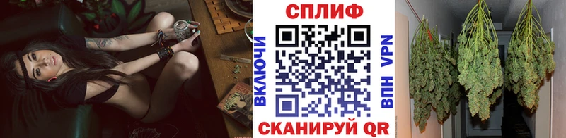 купить   Краснодар  Марихуана план 